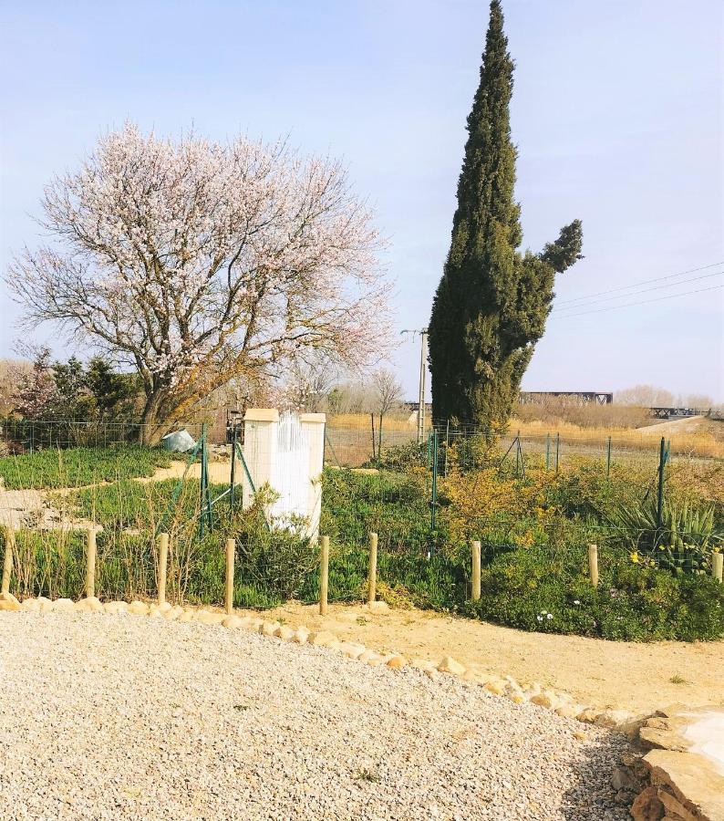 Gites A Moussan ,Domaine De La Barque A 5 Mins De Narbonne Buitenkant foto