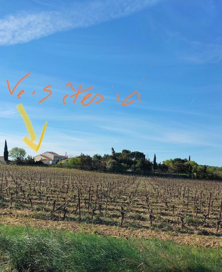 Gites A Moussan ,Domaine De La Barque A 5 Mins De Narbonne Buitenkant foto