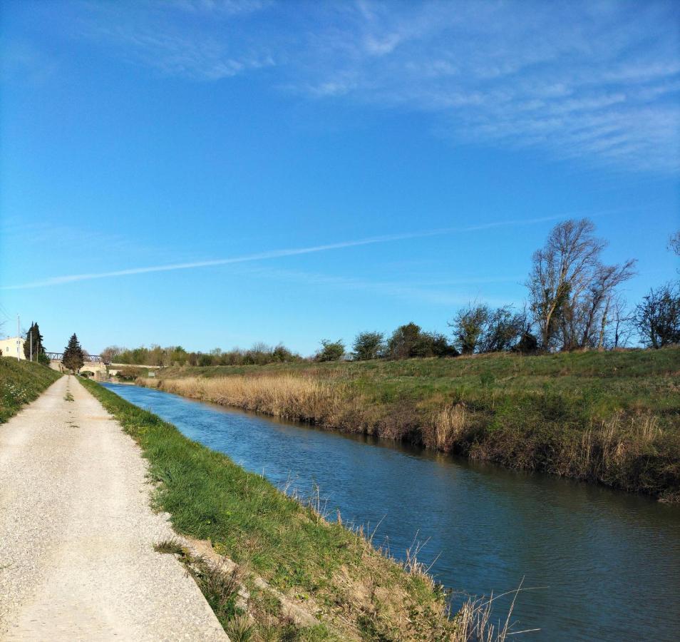 Gites A Moussan ,Domaine De La Barque A 5 Mins De Narbonne Buitenkant foto