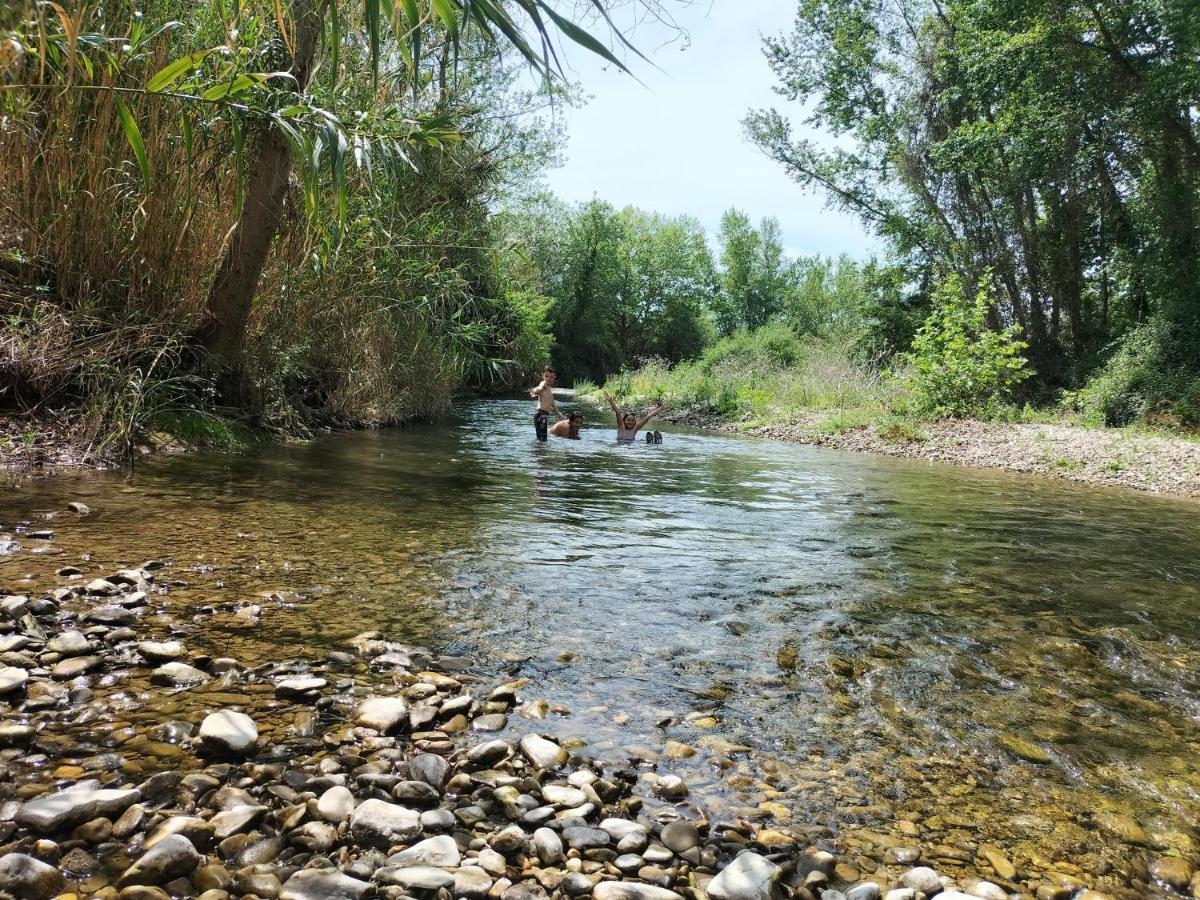 Gites A Moussan ,Domaine De La Barque A 5 Mins De Narbonne Buitenkant foto