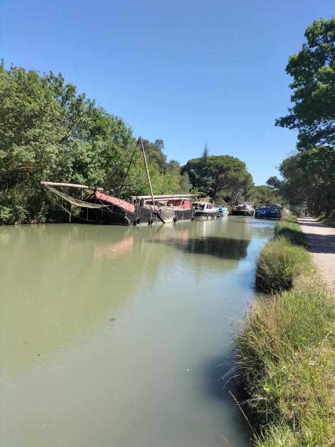 Gites A Moussan ,Domaine De La Barque A 5 Mins De Narbonne Buitenkant foto