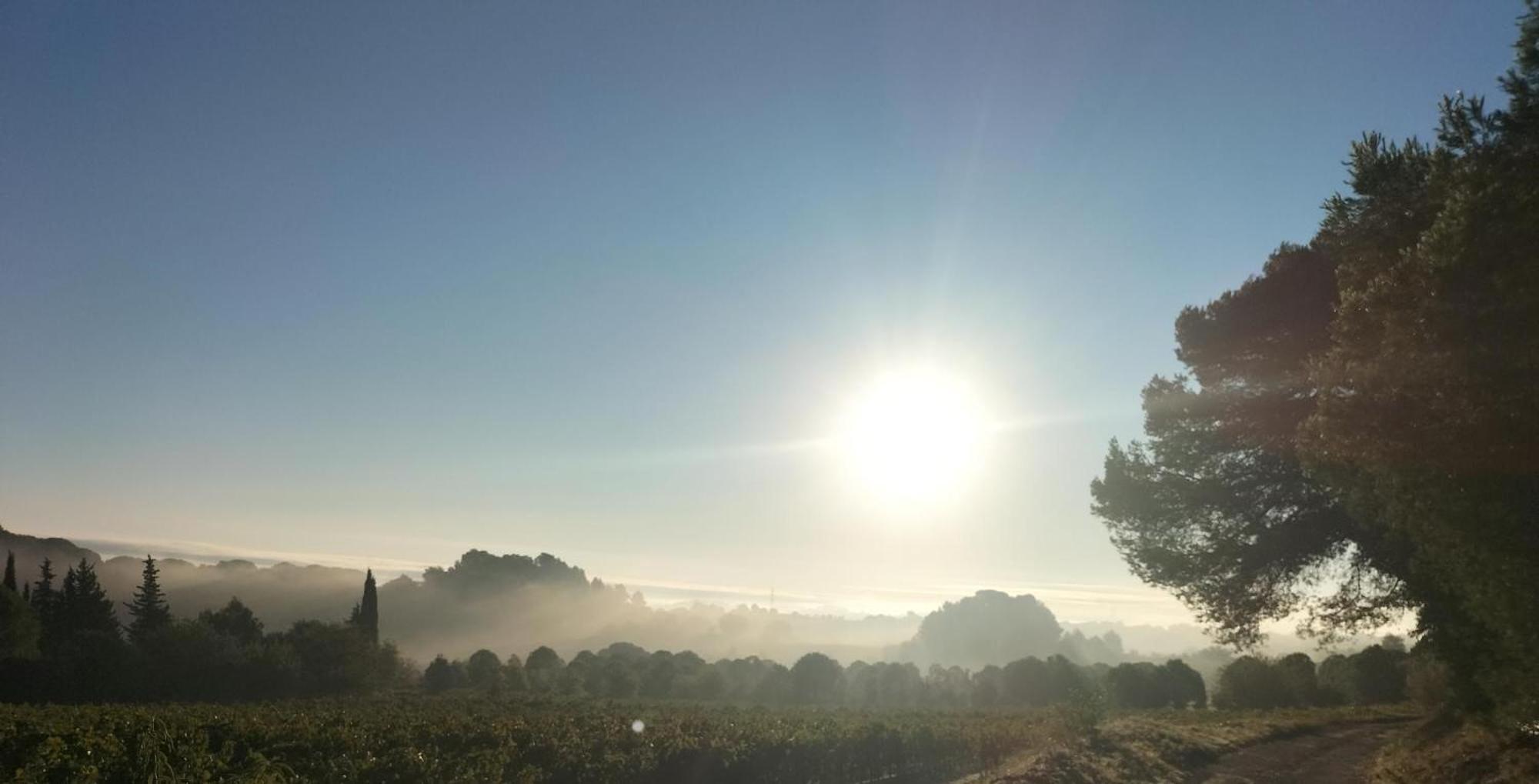 Gites A Moussan ,Domaine De La Barque A 5 Mins De Narbonne Buitenkant foto
